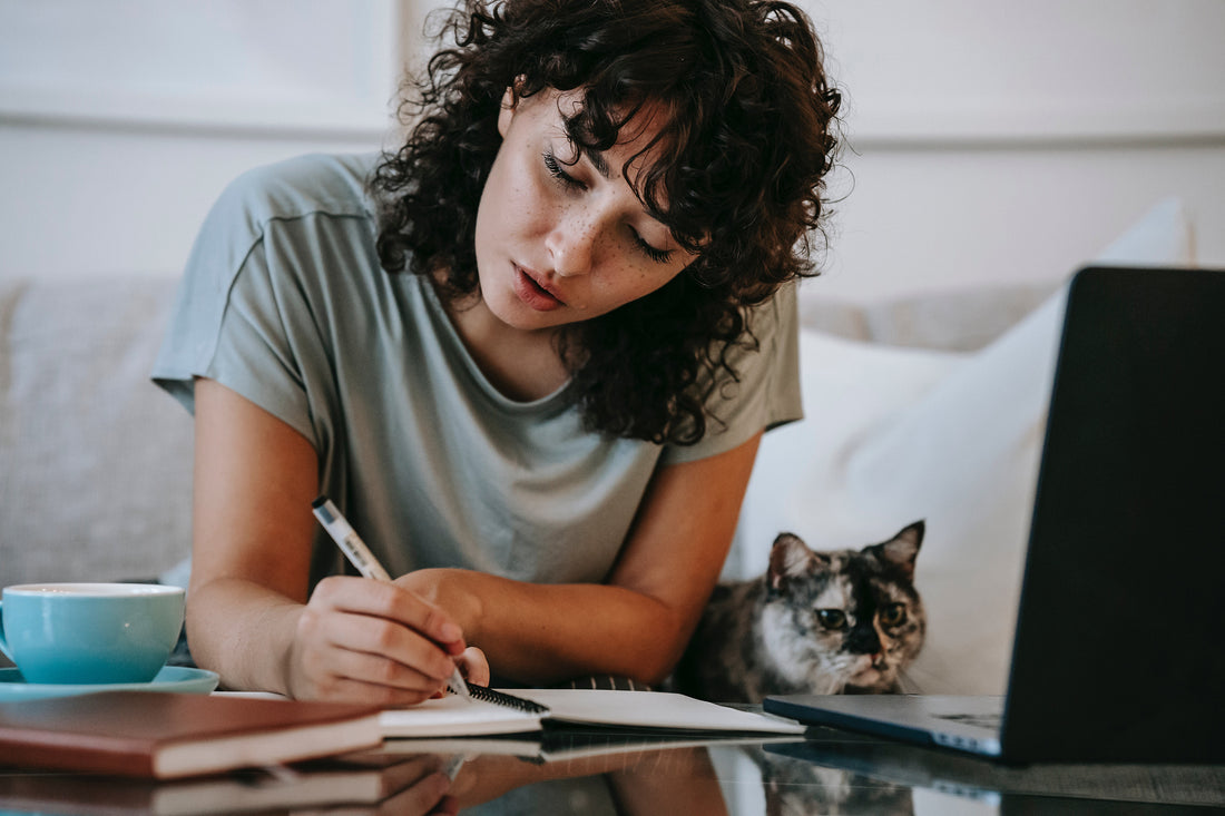 Time-Saving Pet Grooming Tips for Busy Parents
