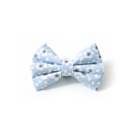 Blue Poppy Bow