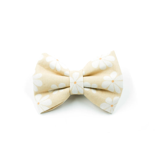 Chamomies Bow
