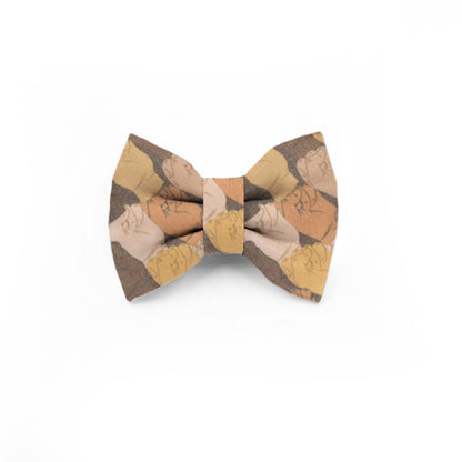 Every Color Bow
