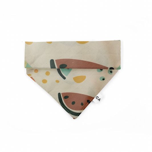 Summer Watermelon Bandana